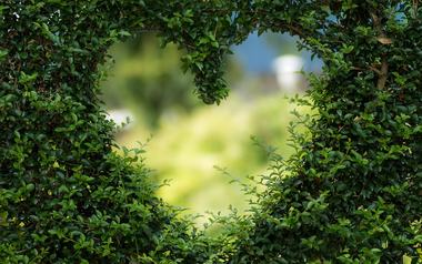 Das schönste und komplexeste Gefühl: die Liebe